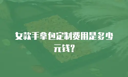 女款手拿包定制费用是多少元钱？