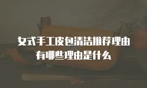 女式手工皮包清洁推荐理由有哪些理由是什么