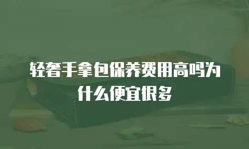 轻奢手拿包保养费用高吗为什么便宜很多