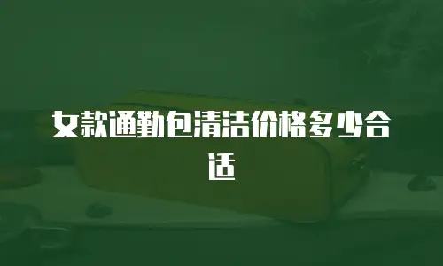 女款通勤包清洁价格多少合适