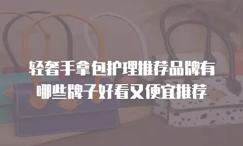 轻奢手拿包护理推荐品牌有哪些牌子好看又便宜推荐