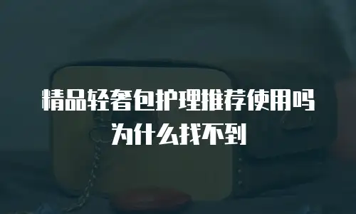 精品轻奢包护理推荐使用吗为什么找不到