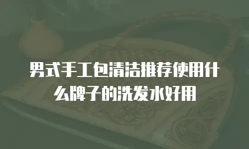 男式手工包清洁推荐使用什么牌子的洗发水好用