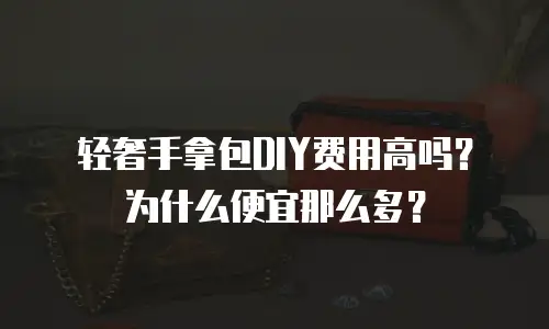 轻奢手拿包DIY费用高吗？为什么便宜那么多？
