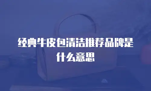 经典牛皮包清洁推荐品牌是什么意思