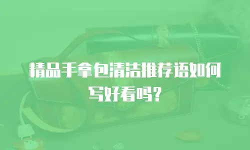 精品手拿包清洁推荐语如何写好看吗？