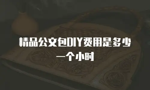 精品公文包DIY费用是多少一个小时