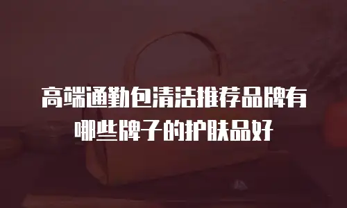 高端通勤包清洁推荐品牌有哪些牌子的护肤品好