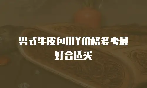 男式牛皮包DIY价格多少最好合适买
