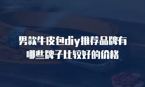 男款牛皮包diy推荐品牌有哪些牌子比较好的价格