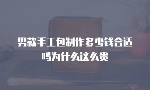 男款手工包制作多少钱合适吗为什么这么贵
