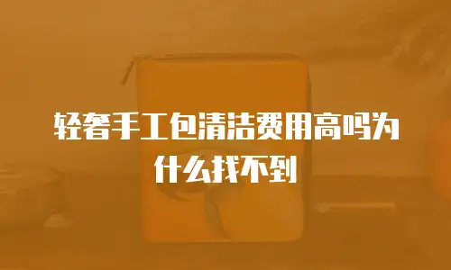轻奢手工包清洁费用高吗为什么找不到