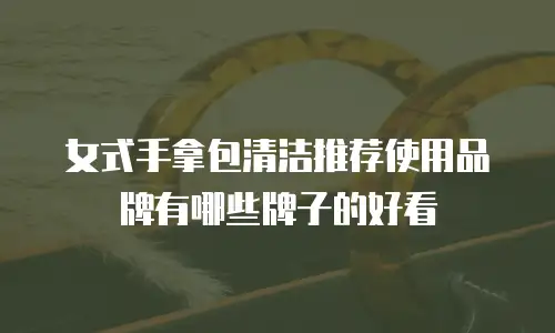 女式手拿包清洁推荐使用品牌有哪些牌子的好看
