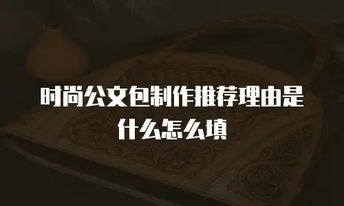 时尚公文包制作推荐理由是什么怎么填