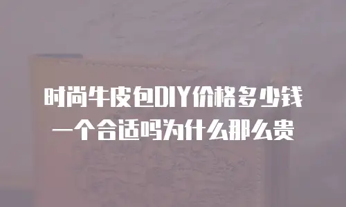 时尚牛皮包DIY价格多少钱一个合适吗为什么那么贵