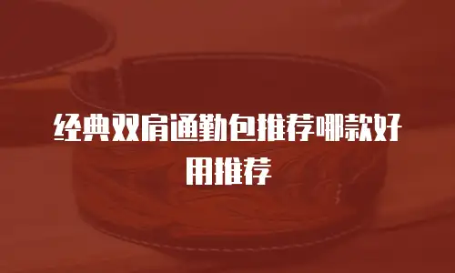 经典双肩通勤包推荐哪款好用推荐