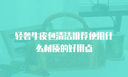 轻奢牛皮包清洁推荐使用什么材质的好用点
