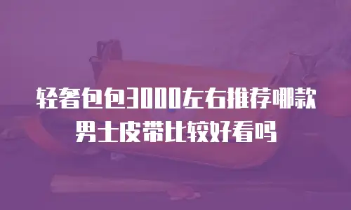 轻奢包包3000左右推荐哪款男士皮带比较好看吗