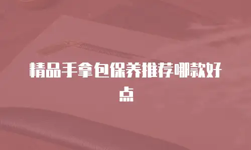 精品手拿包保养推荐哪款好点
