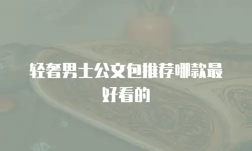 轻奢男士公文包推荐哪款最好看的