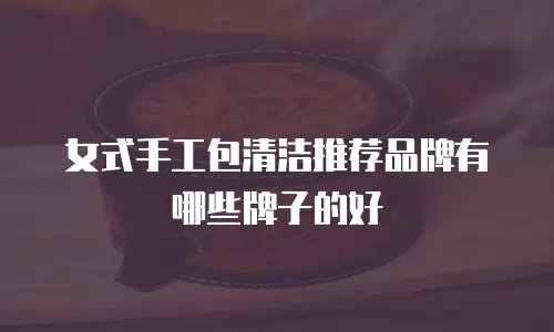 女式手工包清洁推荐品牌有哪些牌子的好