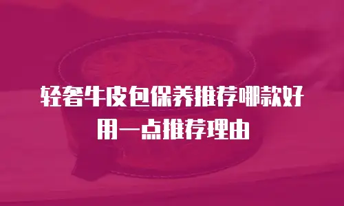 轻奢牛皮包保养推荐哪款好用一点推荐理由