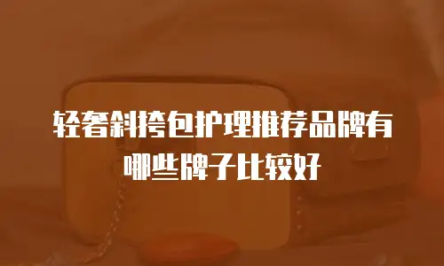 轻奢斜挎包护理推荐品牌有哪些牌子比较好