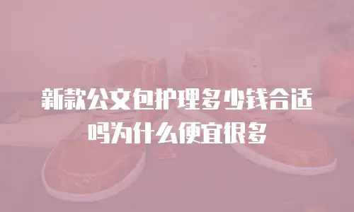 新款公文包护理多少钱合适吗为什么便宜很多