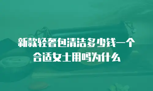 新款轻奢包清洁多少钱一个合适女士用吗为什么