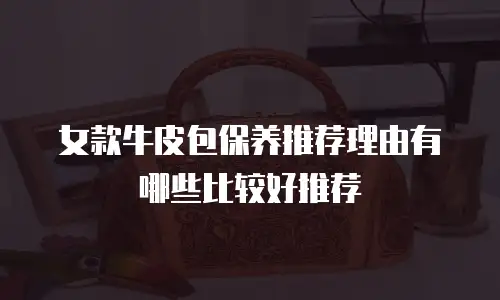 女款牛皮包保养推荐理由有哪些比较好推荐