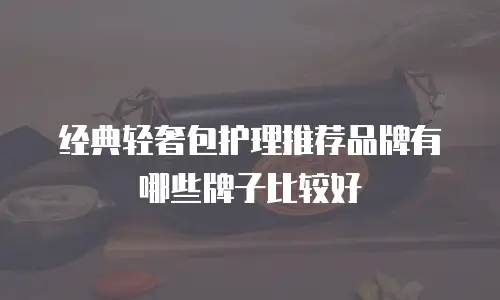 经典轻奢包护理推荐品牌有哪些牌子比较好