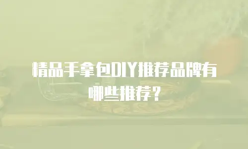 精品手拿包DIY推荐品牌有哪些推荐？