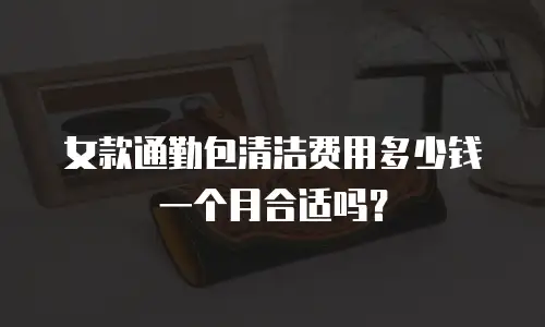 女款通勤包清洁费用多少钱一个月合适吗？
