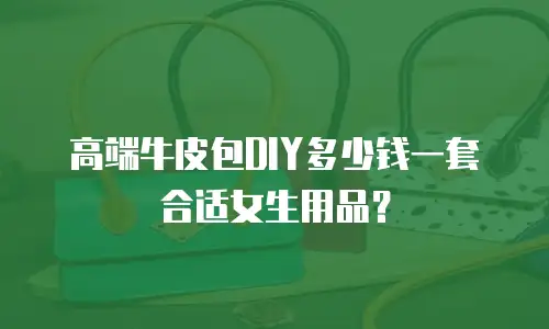 高端牛皮包DIY多少钱一套合适女生用品？