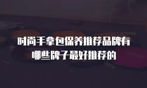 时尚手拿包保养推荐品牌有哪些牌子最好推荐的
