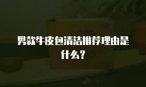 男款牛皮包清洁推荐理由是什么？
