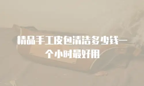 精品手工皮包清洁多少钱一个小时最好用