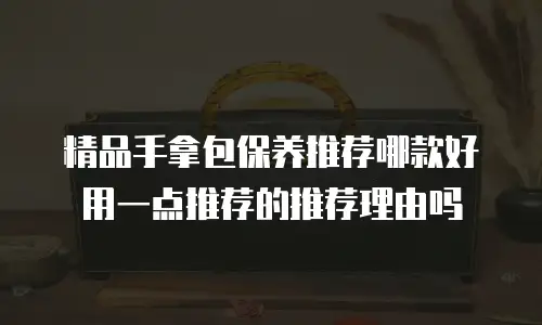 精品手拿包保养推荐哪款好用一点推荐的推荐理由吗
