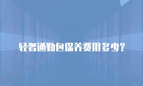 轻奢通勤包保养费用多少？