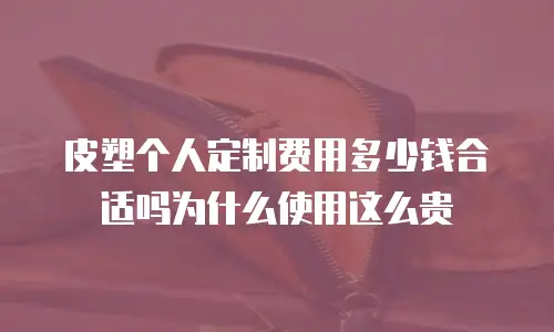 皮塑个人定制费用多少钱合适吗为什么使用这么贵