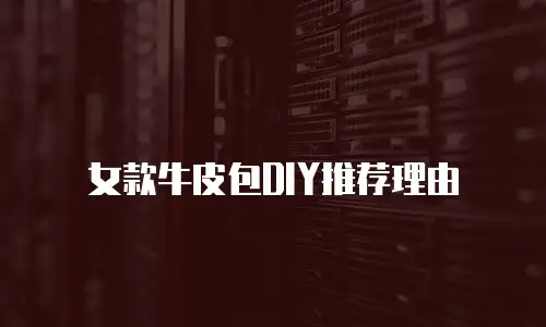 女款牛皮包DIY推荐理由