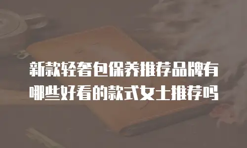 新款轻奢包保养推荐品牌有哪些好看的款式女士推荐吗