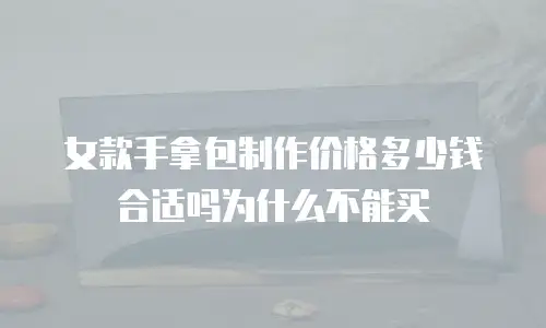 女款手拿包制作价格多少钱合适吗为什么不能买