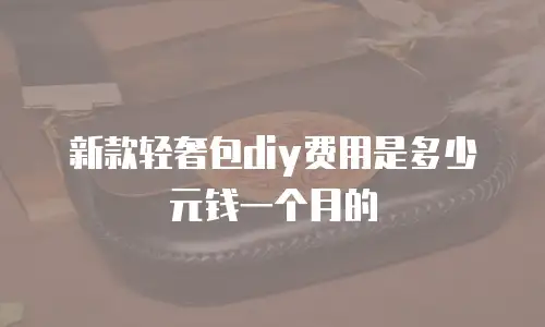 新款轻奢包diy费用是多少元钱一个月的