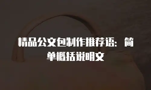 精品公文包制作推荐语：简单概括说明文