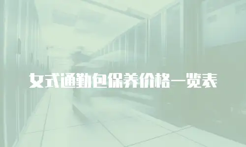 女式通勤包保养价格一览表