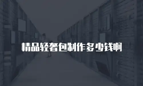 精品轻奢包制作多少钱啊