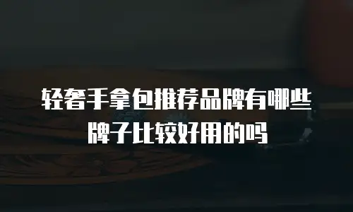 轻奢手拿包推荐品牌有哪些牌子比较好用的吗