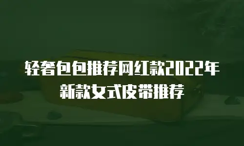 轻奢包包推荐网红款2022年新款女式皮带推荐