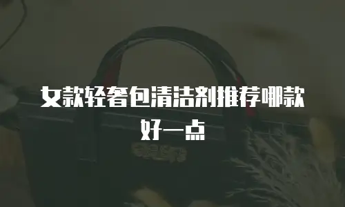 女款轻奢包清洁剂推荐哪款好一点